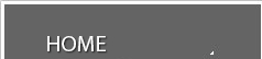 home button